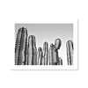 Cacti Print Art Clock Canvas