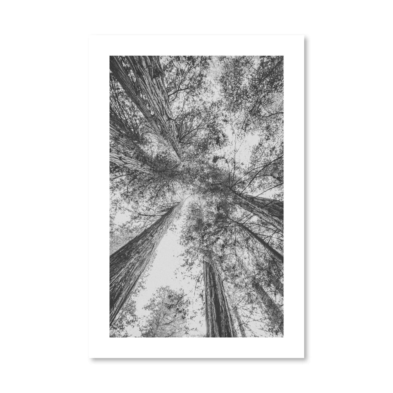 California Red Wood Print Art Clock Canvas