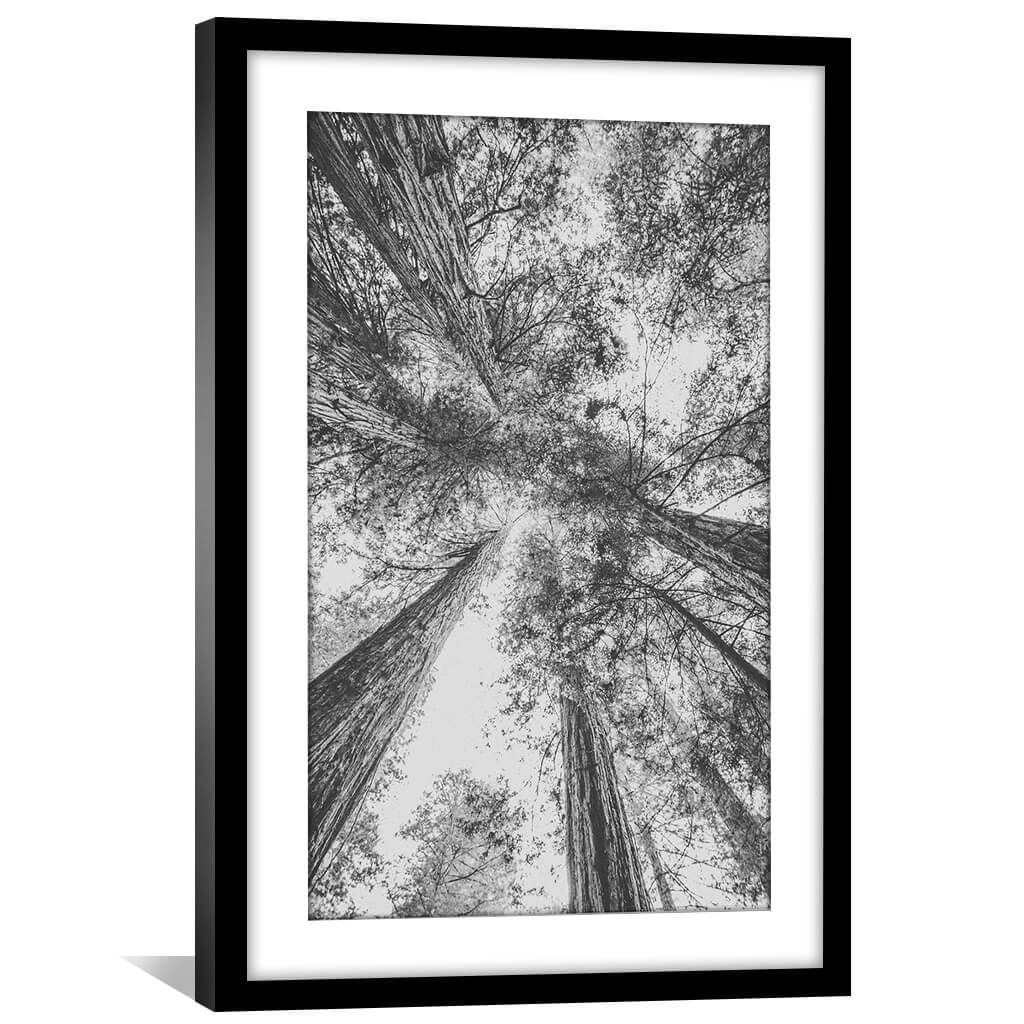 California Red Wood Print Art 30 x 45cm / Unframed Canvas Print Clock Canvas