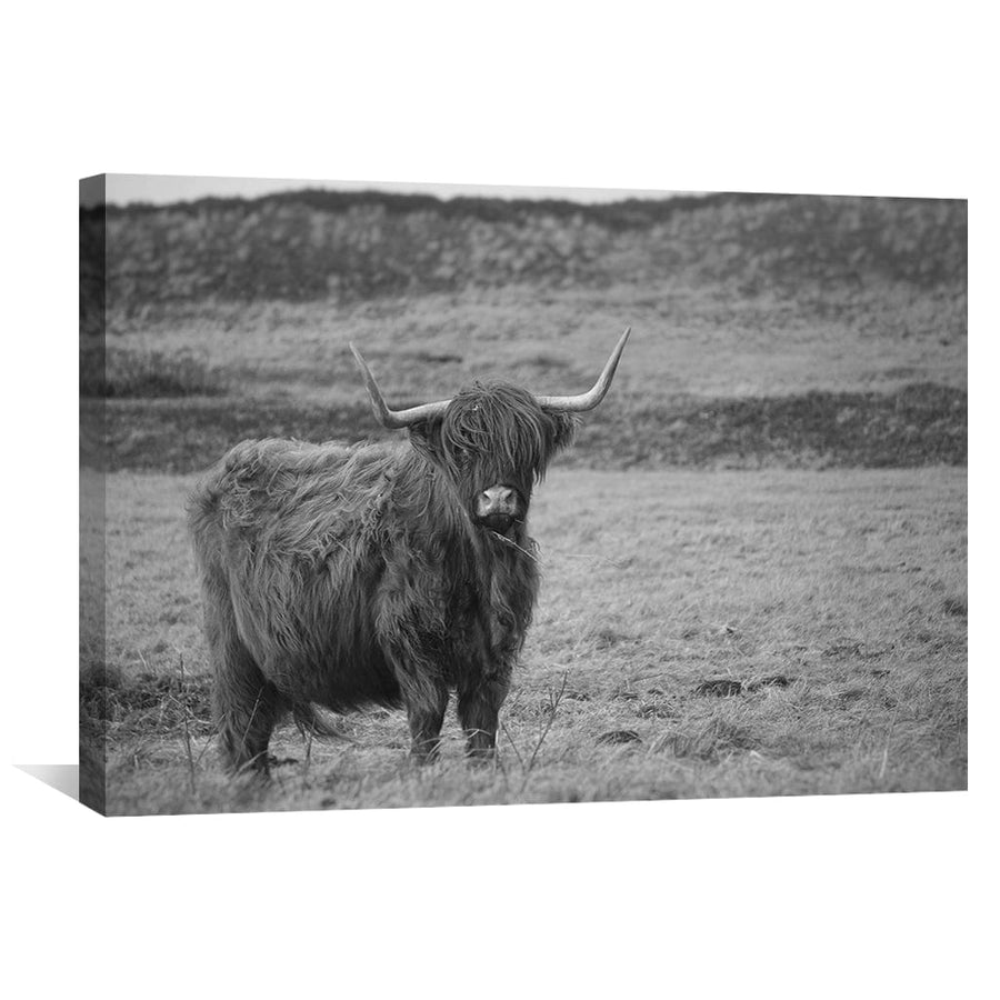 Cow in Field Canvas Art Clock Canvas