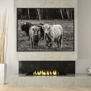 Curious Cows Canvas Art 45 x 30cm / Unframed Canvas Print Clock Canvas