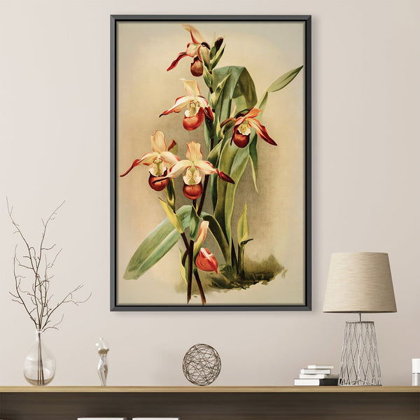 Cypripedium Orchid Canvas Art 30 x 45cm / Unframed Canvas Print Clock Canvas