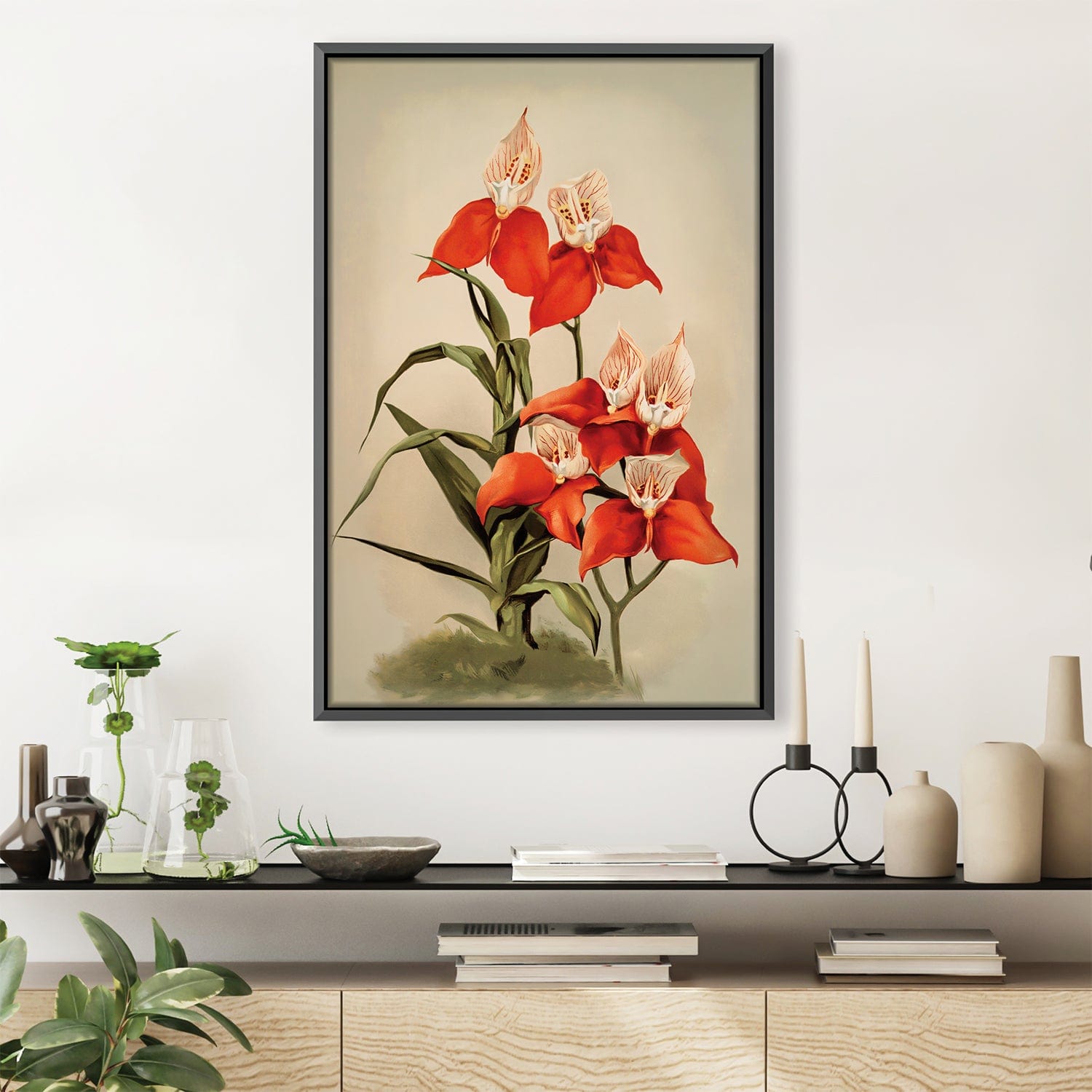 Disa Uniflora Orchid Canvas product thumbnail