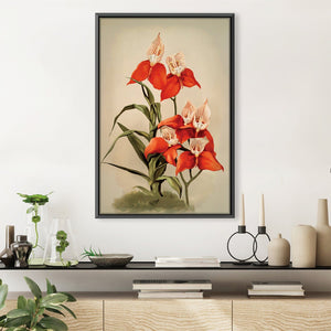 Disa Uniflora Orchid Canvas Art 30 x 45cm / Unframed Canvas Print Clock Canvas