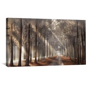 Forest Strolls Canvas Art 50 x 25cm / Unframed Canvas Print Clock Canvas