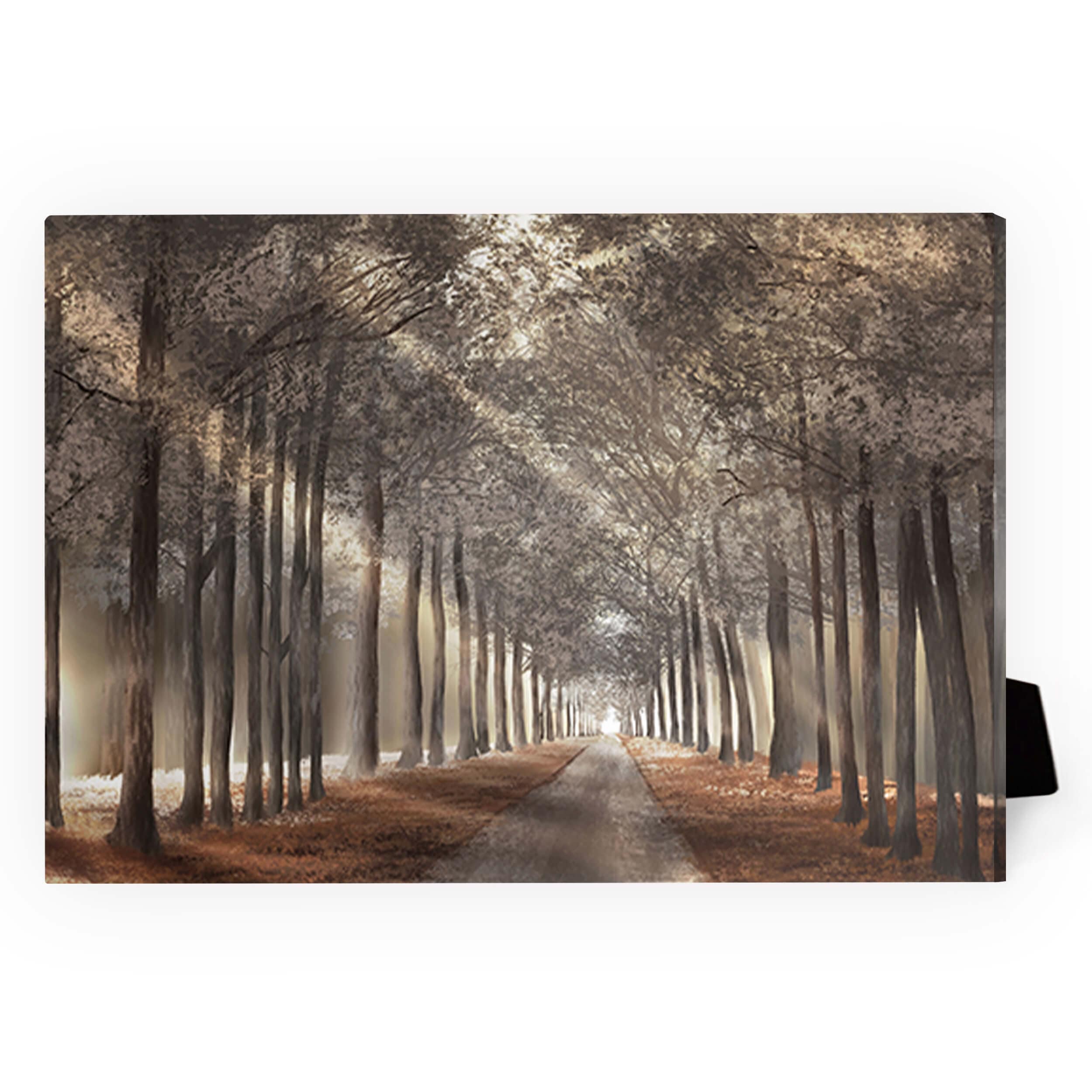 Forest Strolls Desktop Canvas product thumbnail