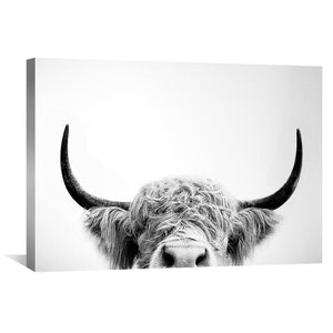 Highland Cow Nose Canvas Art Clock Canvas