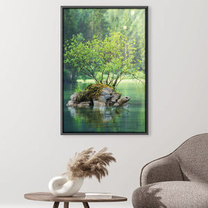 Lake Turtle Canvas Art 30 x 45cm / Unframed Canvas Print Clock Canvas