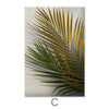 Leaves and Shadows Canvas Art Clock Canvas