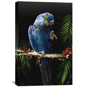 Macaw Canvas Art Clock Canvas