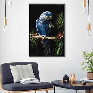 Macaw Canvas Art 30 x 45cm / Unframed Canvas Print Clock Canvas