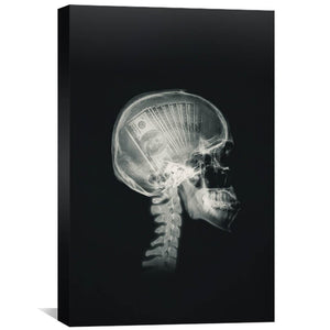 Money Mind X-ray Canvas Art 30 x 45cm / Unframed Canvas Print Clock Canvas