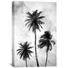 Palm Skies Canvas Art 30 x 45cm / Unframed Canvas Print Clock Canvas