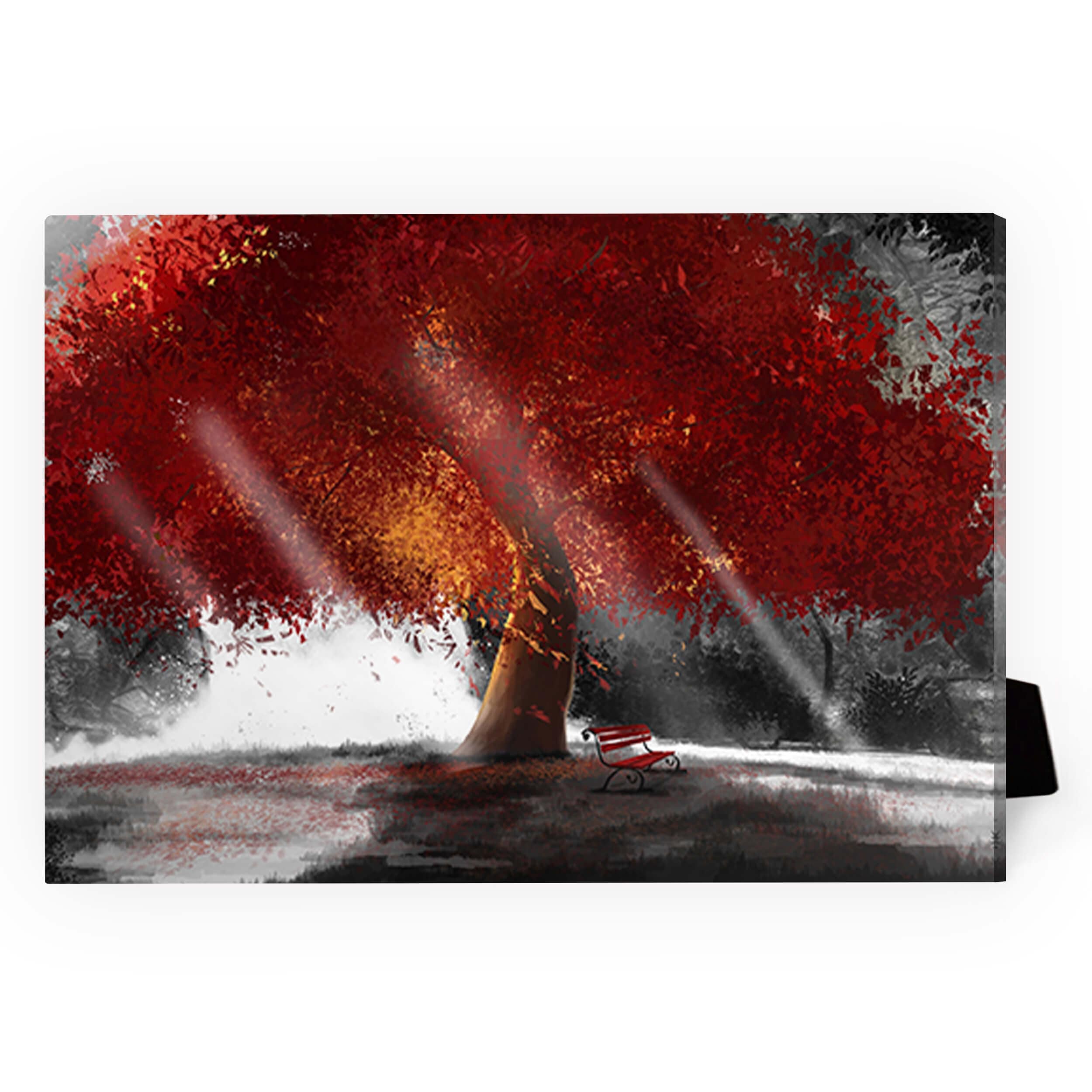 Peaceful Redwood Desktop Canvas product thumbnail