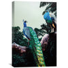 Peacock Duo Canvas Art Clock Canvas