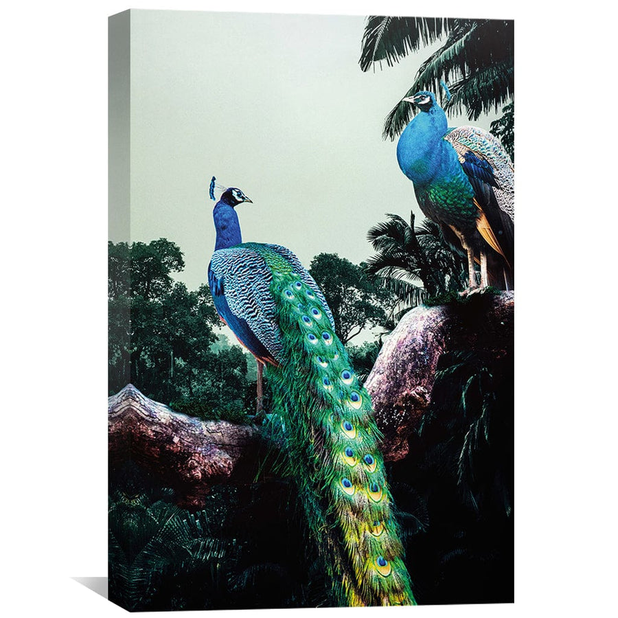 Peacock Duo Canvas Art Clock Canvas