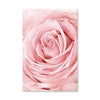 Pink Flower Canvas Art Clock Canvas