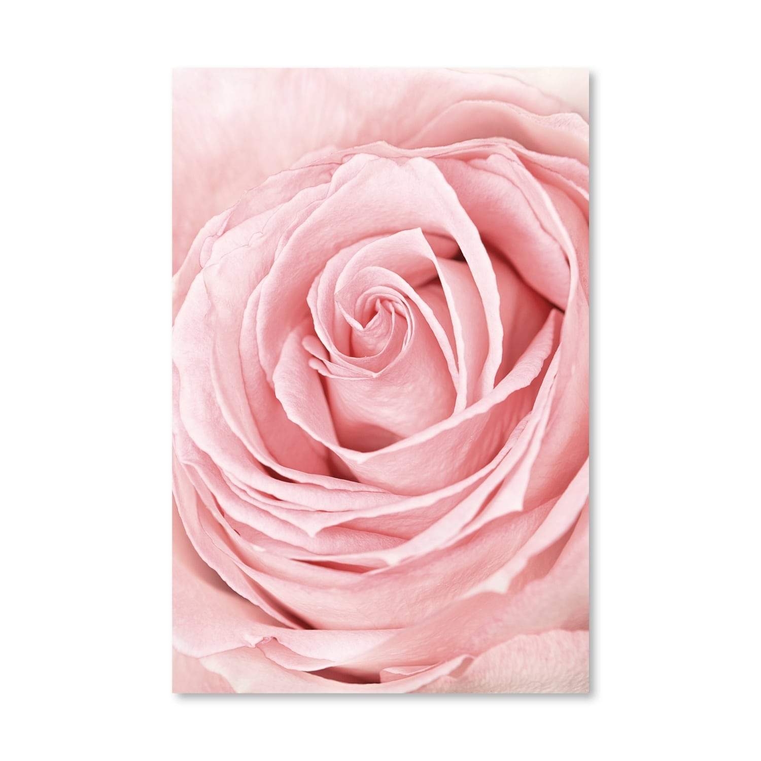Pink Flower Canvas Art Clock Canvas