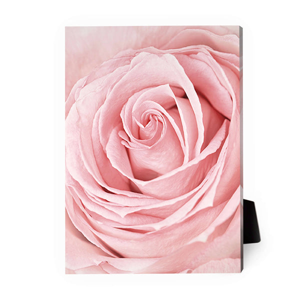 Pink Flower Desktop Canvas Desktop Canvas 13 x 18cm Clock Canvas