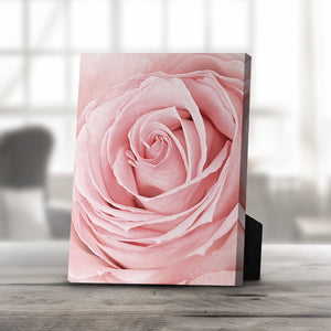 Pink Flower Desktop Canvas Desktop Canvas 20 x 25cm Clock Canvas
