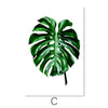 Plants and Vibes Canvas Art C / 30 x 45cm / Unframed Canvas Print Clock Canvas