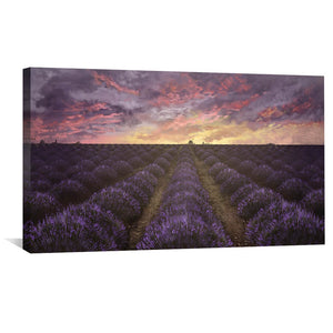Purple Meadow Canvas Art 50 x 25cm / Unframed Canvas Print Clock Canvas
