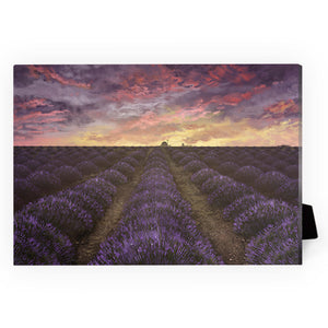 Purple Meadow Desktop Canvas Desktop Canvas 18 x 13cm Clock Canvas