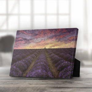 Purple Meadow Desktop Canvas Desktop Canvas 25 x 20cm Clock Canvas