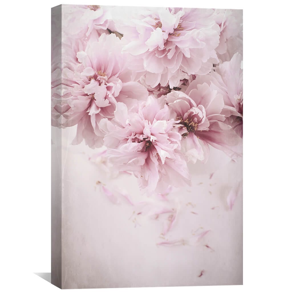 Shaded Pink Canvas | Canvas Wall Art