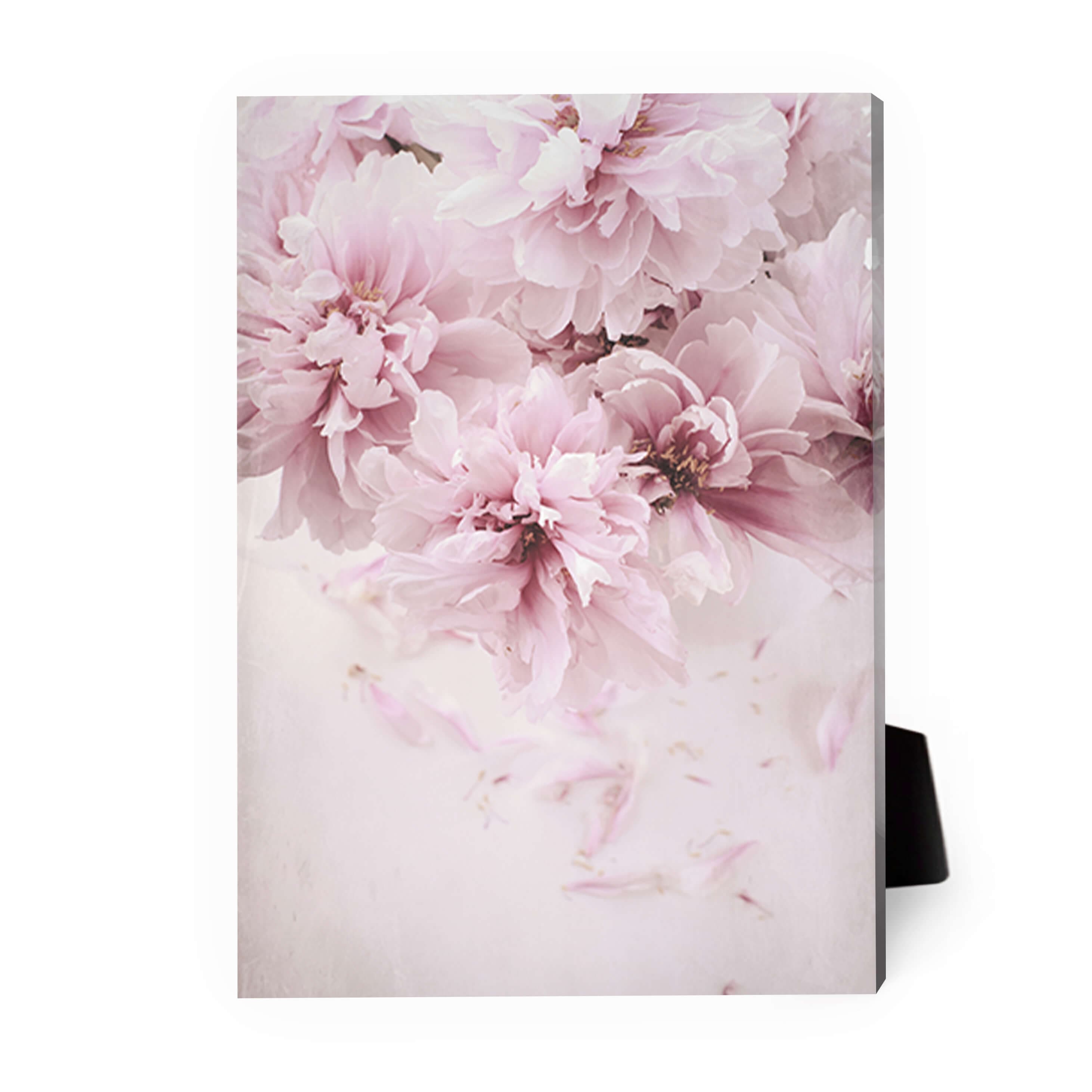 Shaded Pink Desktop Canvas product thumbnail