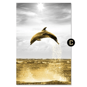 Shining Dolphin Canvas Art C / 40 x 50cm / No Board - Canvas Print Only Clock Canvas