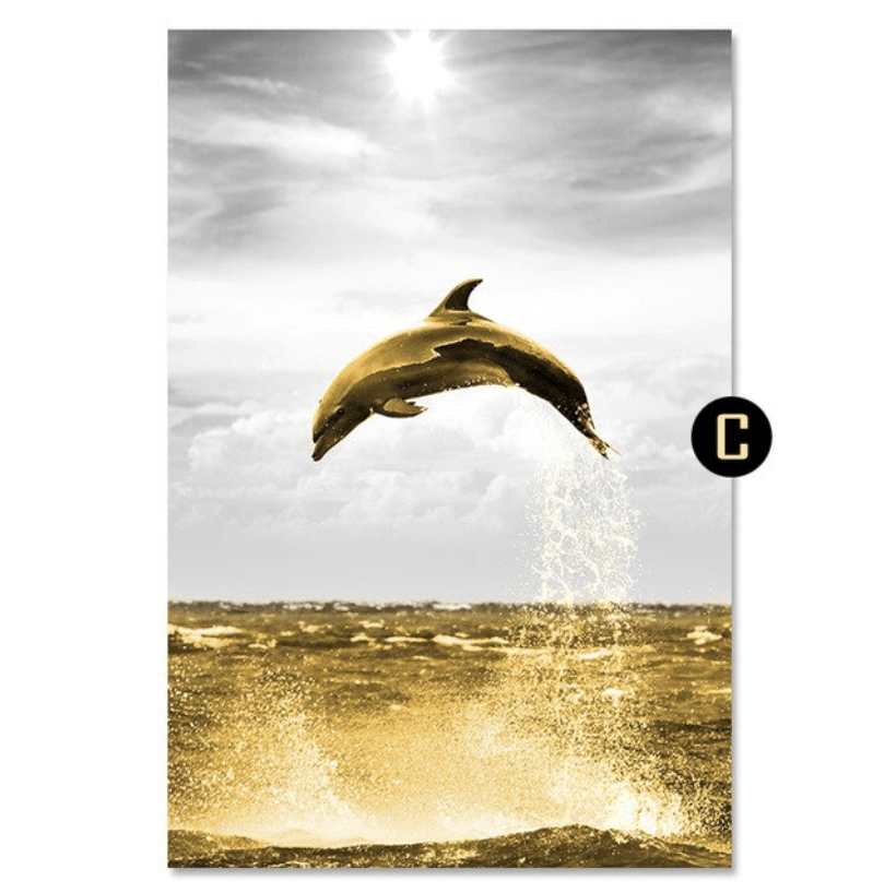 Shining Dolphin Canvas Art C / 40 x 50cm / No Board - Canvas Print Only Clock Canvas
