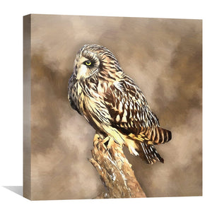 Short Eared Owl Canvas Art Clock Canvas