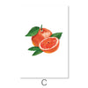 Sliced Fruit Canvas Art C / 30 x 45cm / Unframed Canvas Print Clock Canvas