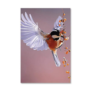 Songbird Canvas Art 40 x 50cm / No Board - Canvas Print Only Clock Canvas