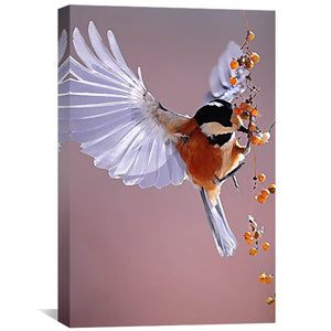 Songbird Canvas Art 40 x 60cm / Unframed Canvas Print Clock Canvas