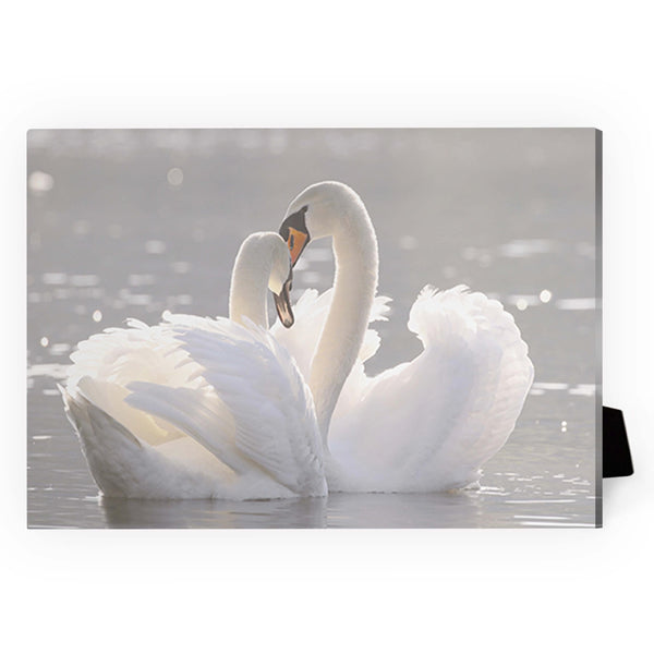 Swan Heart Desktop Canvas Desktop Canvas 18 x 13cm Clock Canvas