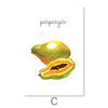 Tasteful Fruits Canvas Art C / 30 x 45cm / Unframed Canvas Print Clock Canvas