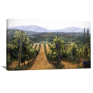 Tuscan Vinyard Canvas Art 50 x 25cm / Unframed Canvas Print Clock Canvas