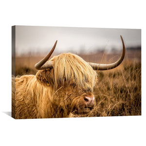 Warm Tones Highland Cow Canvas Art Clock Canvas