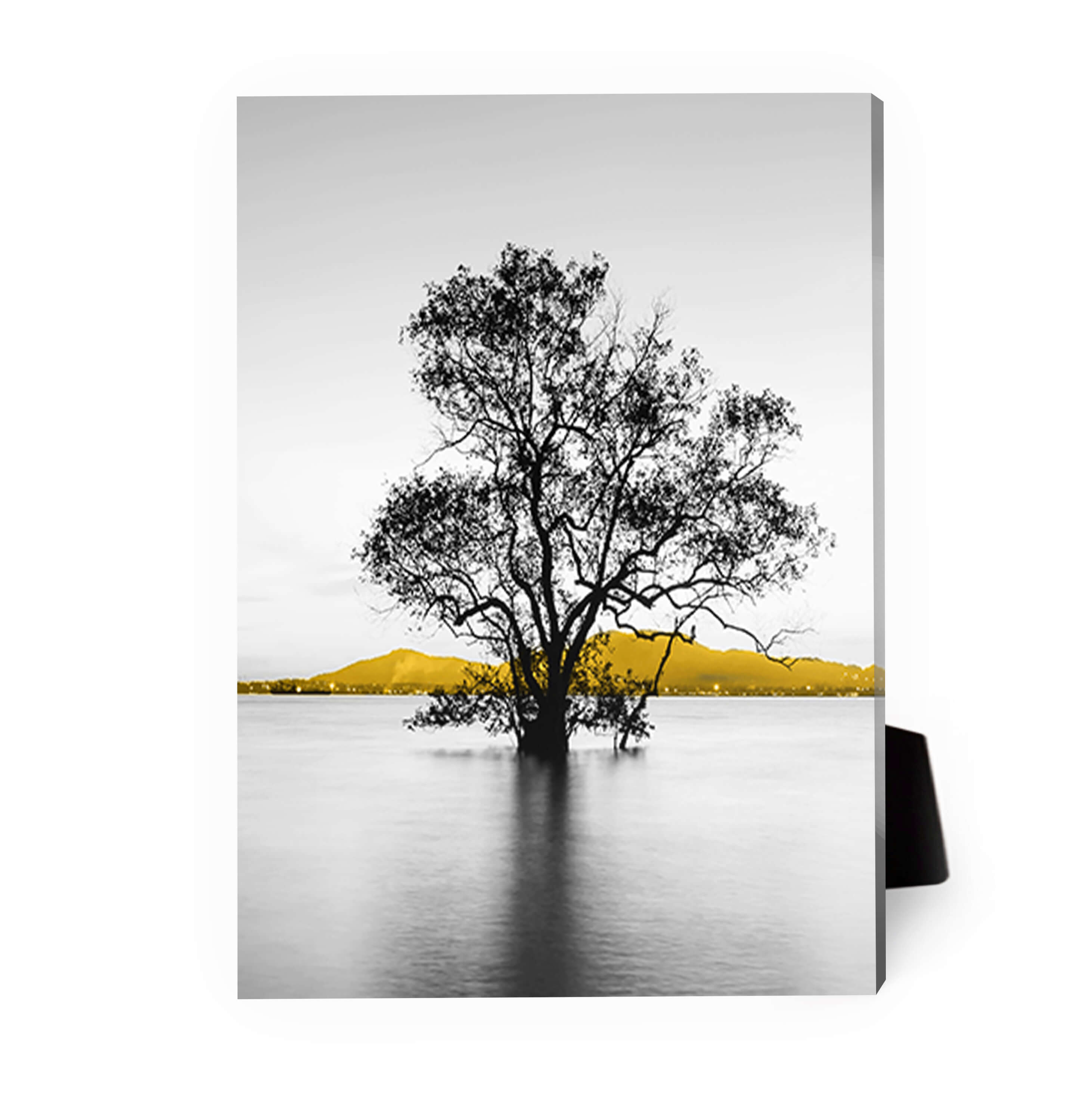 Yellow Splash B Desktop Canvas product thumbnail